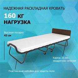 Раскладушка с матрасом Элеонора ПРЕМИУМ (200x90x43см) Венге - фото 123744