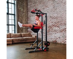 Турник-брусья, тяга сверху DFC HOMEGYM HOMCOM D270 - фото 127522