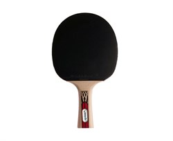 Ракетка DONIC LEGENDS 900 754426 - фото 130782