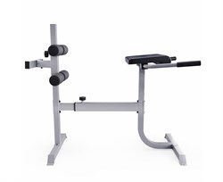 Гиперэкстензия / римский стул DFC CAP, серебряный FM-CS709 - фото 131605