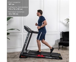 Беговая дорожка DFC ASCONA T595 - фото 131610