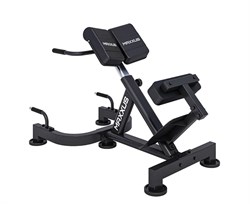 Гиперэкстензия / римский стул DFC MAXXUS GSMX-600080-00019-0001 - фото 131742