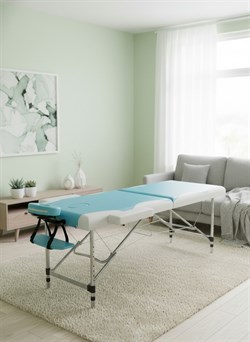 Массажный стол DFC NIRVANA Elegant DELUXE, цвет голубой с бежевым TS2010_TB2 / 186х70х84 см - фото 133301