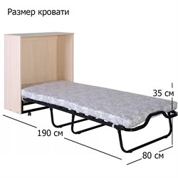 Раскладушка с матрасом кровать-тумба Карина / ДУБ ЯСЕНЬ - фото 134454