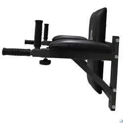 Брусья настенные DFC Homegym G294 - фото 92481