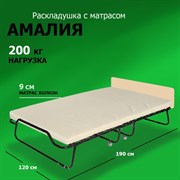 Двухспальная раскладушка Амалия с матрасом 190x120 ДУБ Двухспальная раскладушка Амалия с матрасом 190x120 ДУБ