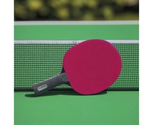 Ракетка DONIC COLOR Z PINK / 703021 Ракетка DONIC COLOR Z PINK / 703021