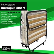 Раскладушка Даметекс Виктория 800 М (80х190х26) Раскладушка Даметекс Виктория 800 М (80х190х26)