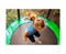Батут с защитной сеткой DFC JUMP4FUN 6 ft зеленый с лестницей - TRA22FUJ4F-603 - фото 129901