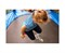 Батут с защитной сеткой DFC JUMP4FUN 6 ft синий с лестницей - TRA22FUJ4F-601 - фото 130285