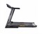 Беговая дорожка DFC LONGTEK T-X510G - фото 131822